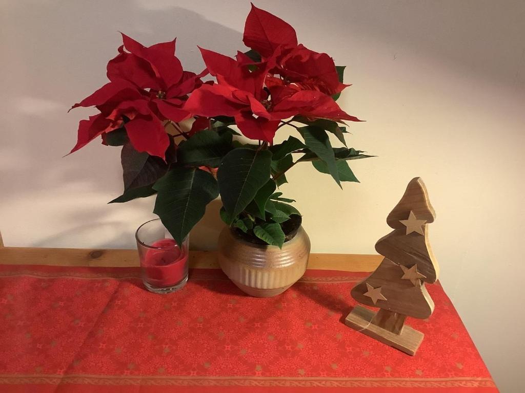 フェルテンBlumenhausアパートメント エクステリア 写真
