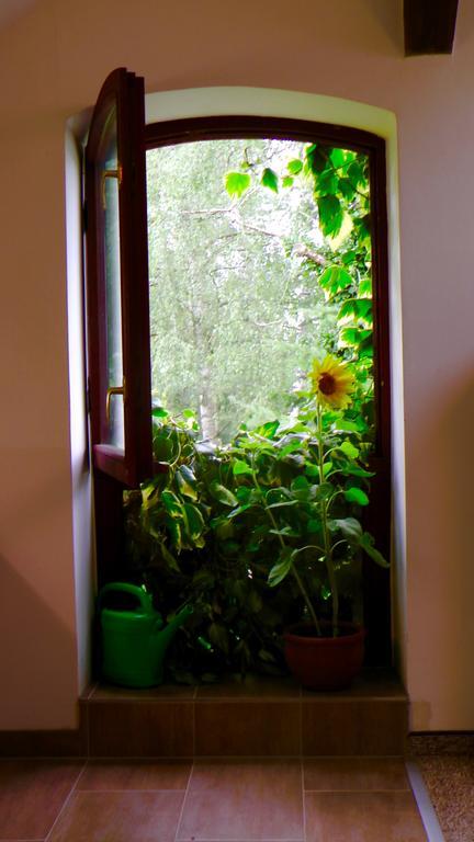 フェルテンBlumenhausアパートメント エクステリア 写真